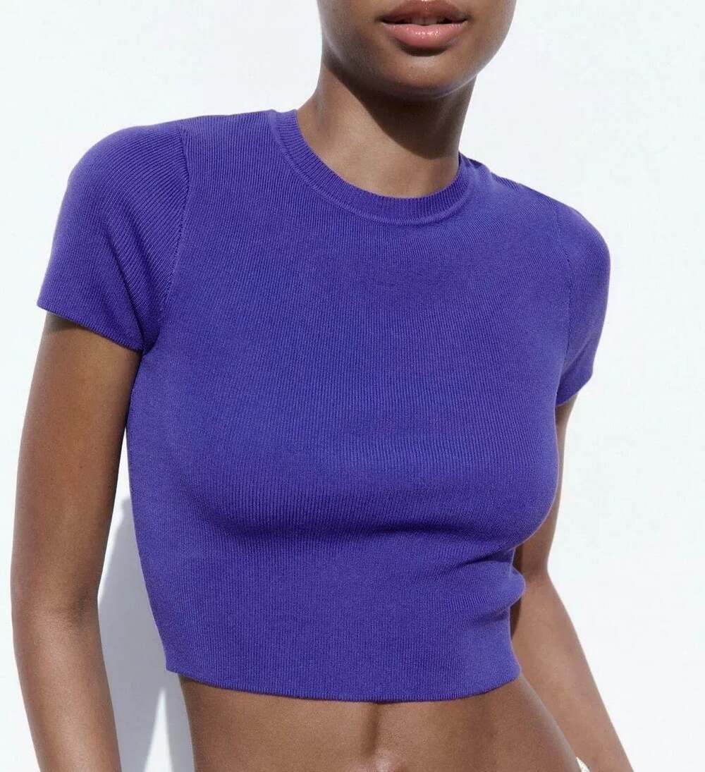 Zara Purple Ribbed Knit Short Sleeve Crop Top